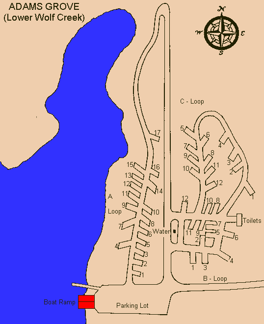 adams grove (lower wolf creek).gif (12285 bytes)