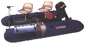 Water Bug thumbnail.gif (9226 bytes)
